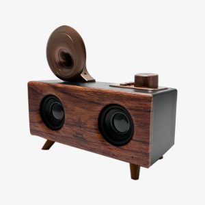 Haut-parleur et radio fm sans fil music apollo b6