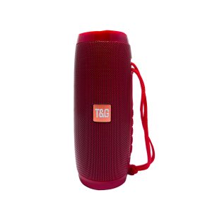 Haut-parleur tg 157 portable