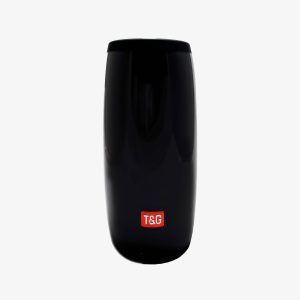 Haut-parleur t&g model tg113